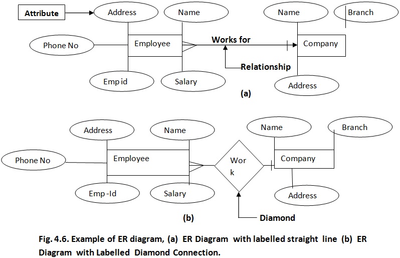 2398_ER Diagram Homework Help.jpg