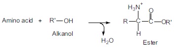 2401_Esterification in presence of strong acid.jpg