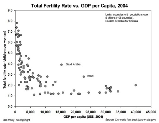 2454_Fertility rate and GDP.jpg