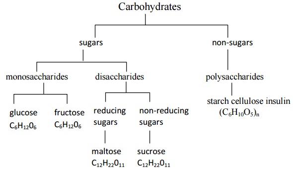 284_Classification of Carbohydrates.jpg