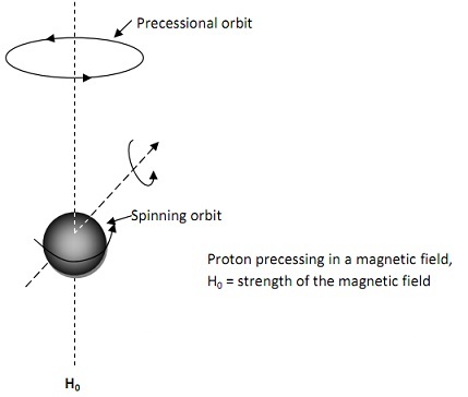 294_Proton precessing in a magnetic field H0.jpg