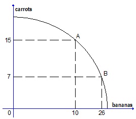 331_PPF of carrots and bananas.jpg