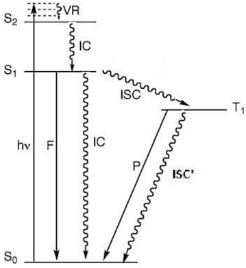 346_Jablonski diagram showing processes at the S1 and T1 states.jpg