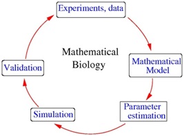 374_Mathematical & Theoretical Biology Homework Help.jpg