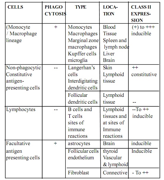416_table antigen presenting cells.jpg