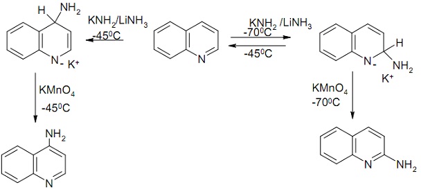 438_Reaction of Quinoline with Potassamide.jpg