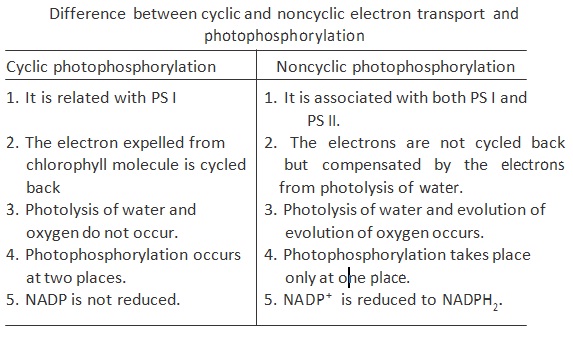 483_difference  cyclic & noncyclic.jpg
