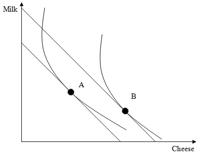 513_Indifference curve and budget line.jpg