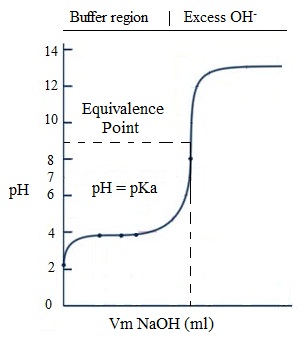 616_Titration curve-weak acid and strong base.jpg