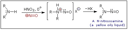 651_Reactions with Nitrous Acid Homework Help 4.jpg