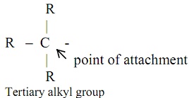 672_tertiary alkyl group.jpg