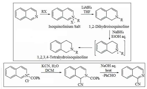704_Isoquinoline-Reduction and Reactions with Nucleophiles.jpg