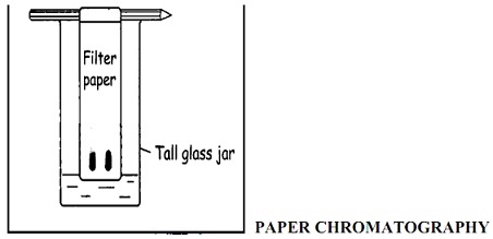814_paper chromatography.jpg