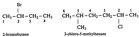837_2-chloro-5-methylhexane.jpg