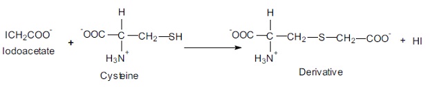 927_Reactions of cysteine with iodoacetic acid.jpg