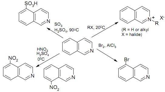 932_Reactions of Isoquinolines with Electrophiles.jpg