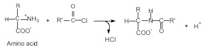945_Acylation amino groups.jpg