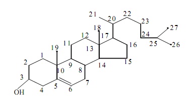 983_structure of cholestrol.jpg