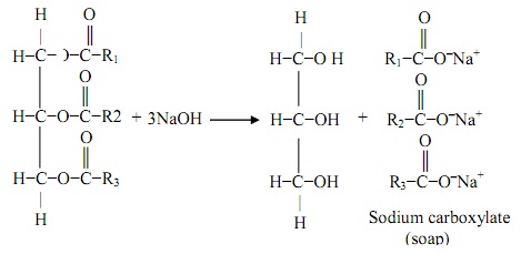 9_Hydrolysis of Fats and Oils.jpg